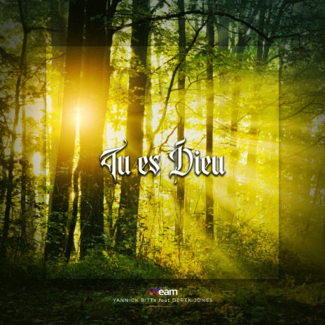 Tu Es Dieu ft. Yannick Bitty & Derek-Jones | Boomplay Music