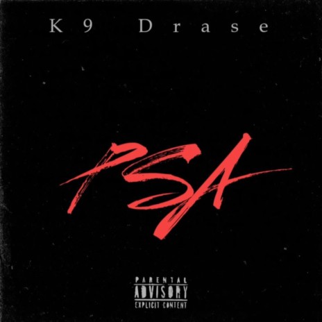 P.S.A ft. K9 The Stray | Boomplay Music