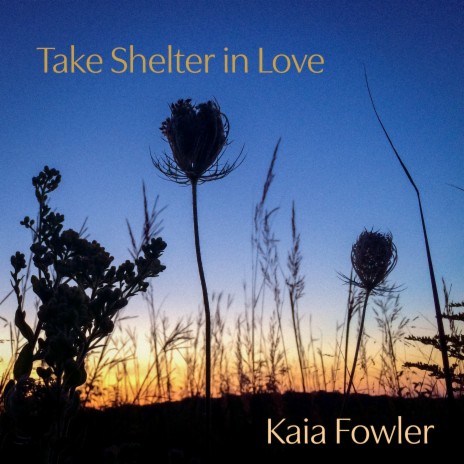 Take Shelter in Love ft. Joe Jencks
