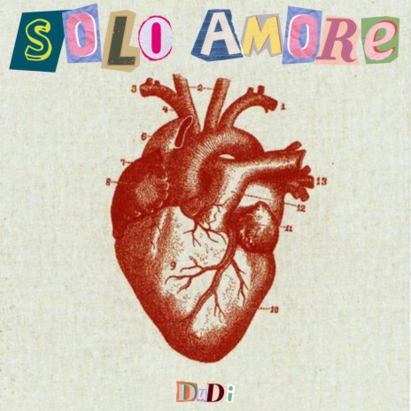 SOLO AMORE | Boomplay Music