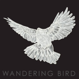 Wandering Bird