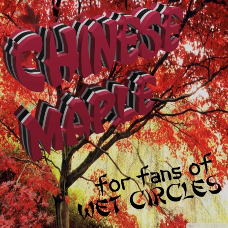 Chinese Maple | Boomplay Music