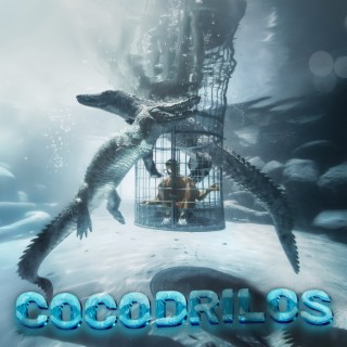 Cocodrilos