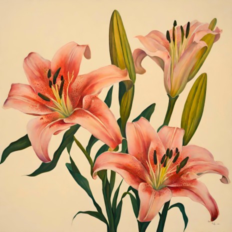 Lilies | Boomplay Music