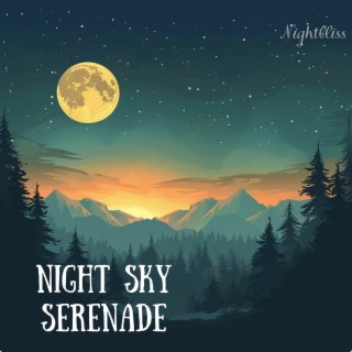 Night Sky Serenade