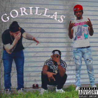 Gorillas