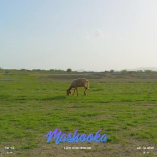 Mashooka