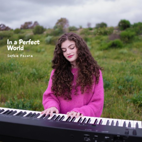 In a Perfect World | Boomplay Music