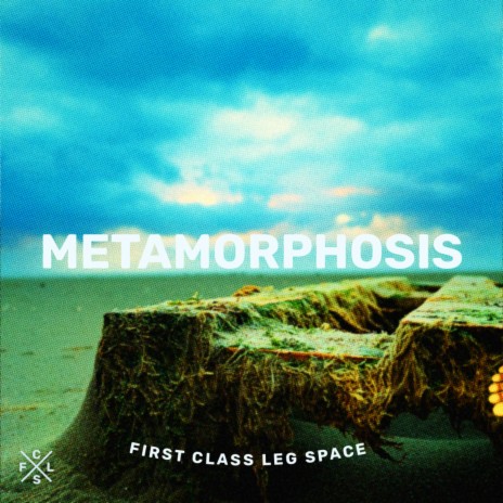 Metamorphosis | Boomplay Music