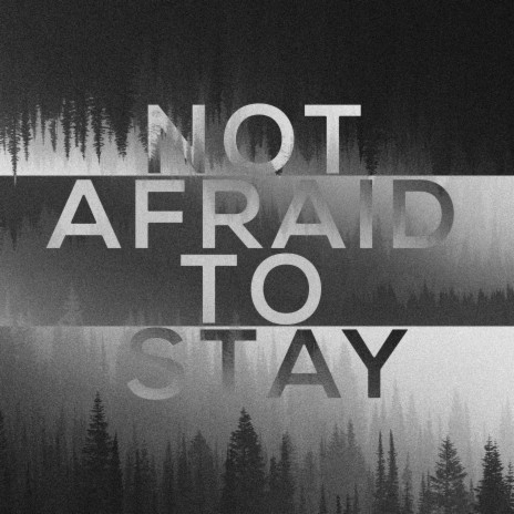 Not Afraid To Stay | Boomplay Music