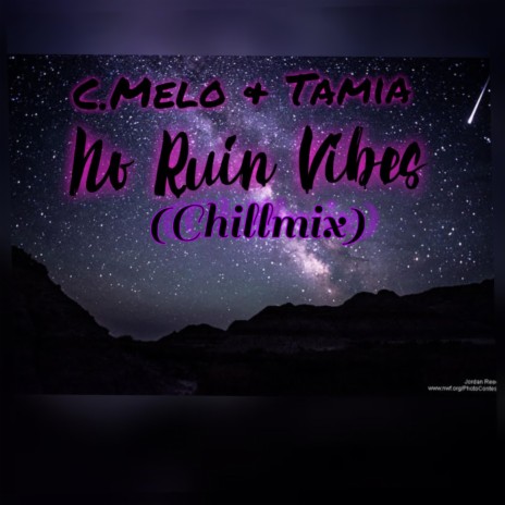 No Ruin Vibes (Chillmix) ft. Tamia Brown | Boomplay Music