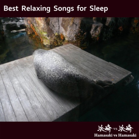 Sleeping Seal (Music Box Version) | Boomplay Music