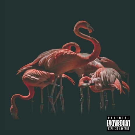 Flamingo (Chopped Version) ft. Kani Kain | Boomplay Music
