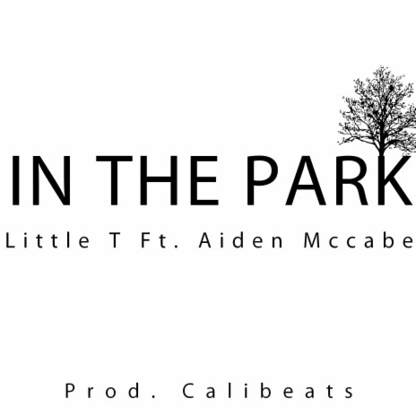 In the Park ft. Aiden Mccabe | Boomplay Music