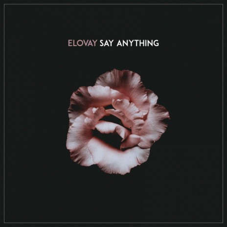 Say Anything | Boomplay Music