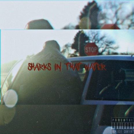 Sharks in that Water | Boomplay Music