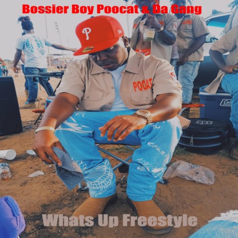 What Up Freestyle ft. Poocat | Boomplay Music