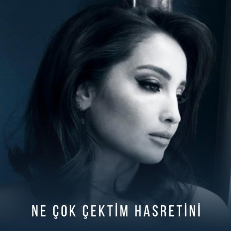 Ne Çok Çektim Hasretini | Boomplay Music