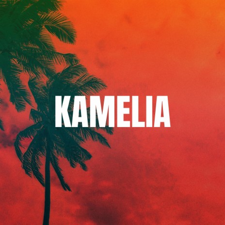 Kamelia (Beat) | Boomplay Music