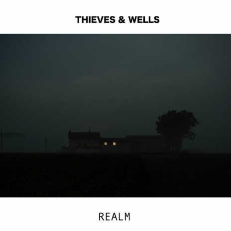 Realm ft. THIEVES | Boomplay Music