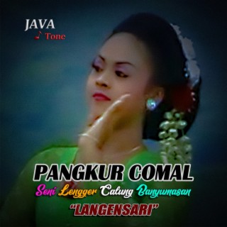 Pangkur Comal (Lengger Langensari Vol.1)