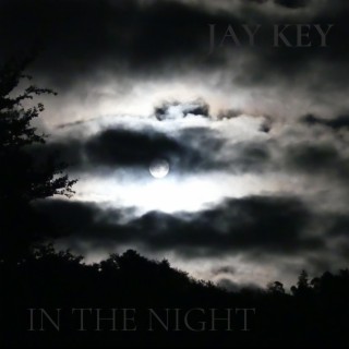 In the Night (Remix)