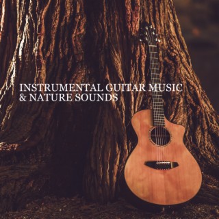 Instrumental Guitar Music & Nature Sounds: Meditation and Relaxation, Music for Yoga, Spa