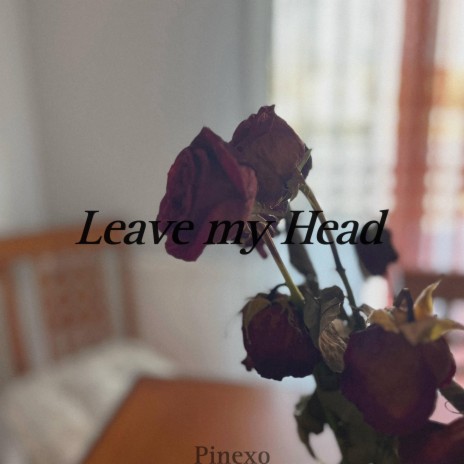 Leave my Head
