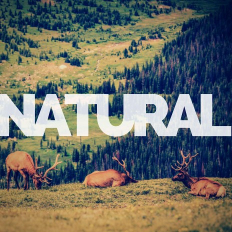 Natural | Boomplay Music