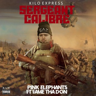 Pink Elephants