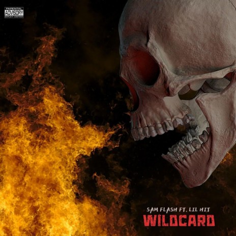 WILDCARD ft. Lil Hit | Boomplay Music