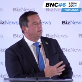 "Vote like your life depends on it" to avoid "ANC, EFF, MK Doomsday Coalition": Steenhuisen at BNC#6