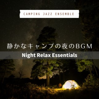 静かなキャンプの夜のBGM - Night Relax Essentials