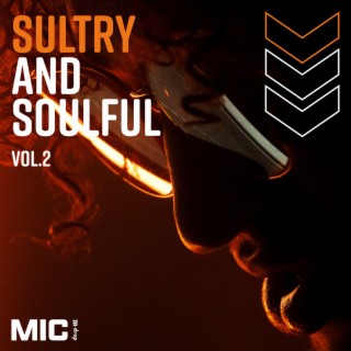 Sultry and Souful Vol. 2