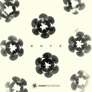 Dove Acoustic Album