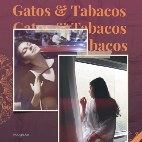 Gatos & Tabacos | Boomplay Music