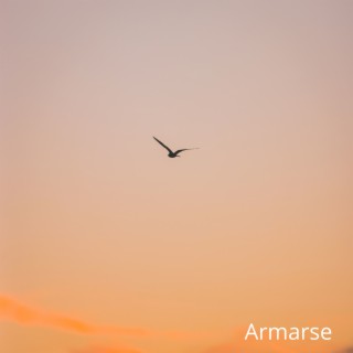 Armarse