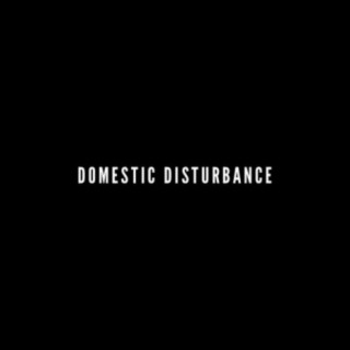 Domestic Disturbance