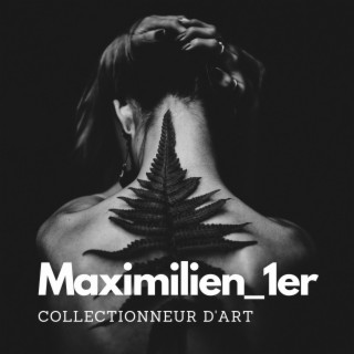 Collectionneur d'art