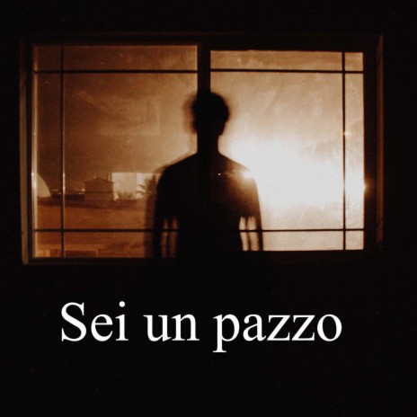 Sei un pazzo