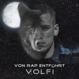 Volfi