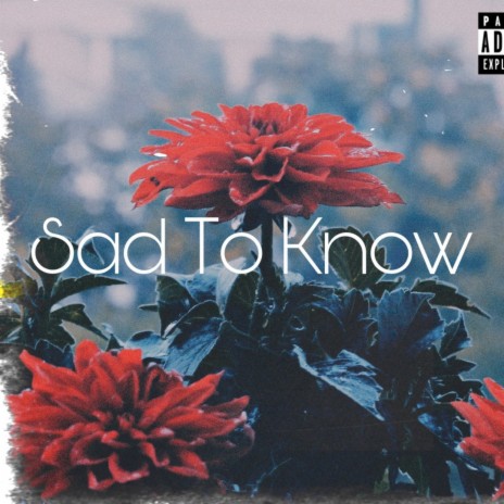 Sad To Know (Heaven For Thugs Remix) | Boomplay Music