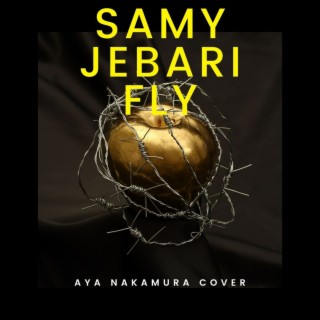 Fly (Aya Nakamura Cover) lyrics | Boomplay Music