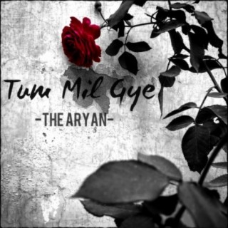 Tum Mil Gye lyrics | Boomplay Music