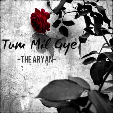 Tum Mil Gye | Boomplay Music