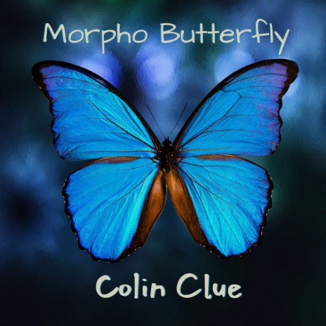 Morpho Butterfly | Boomplay Music