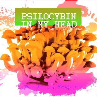 Psilocybin In My Head