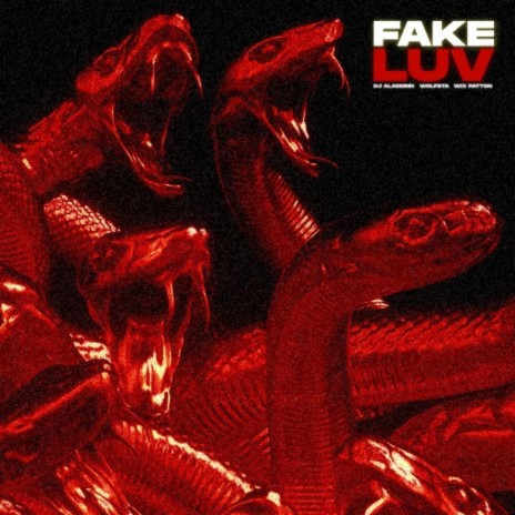 Fake Luv ft. DJ Aladdinn & Wix Patton | Boomplay Music