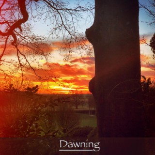 Dawning