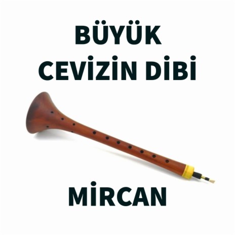 Büyük cevizin dibi & Mircan | Boomplay Music